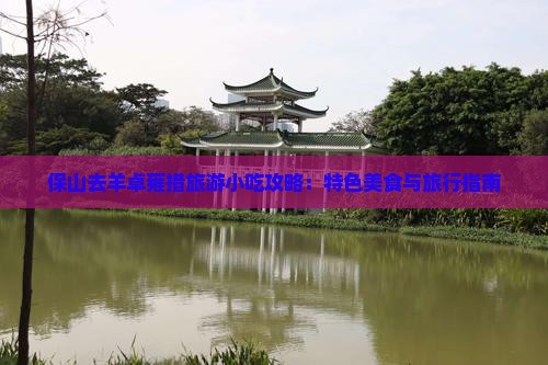保山去羊卓雍措旅游小吃攻略：特色美食与旅行指南