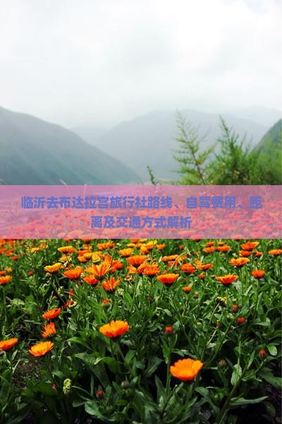 临沂去布达拉宫旅行社路线、自驾费用、距离及交通方式解析