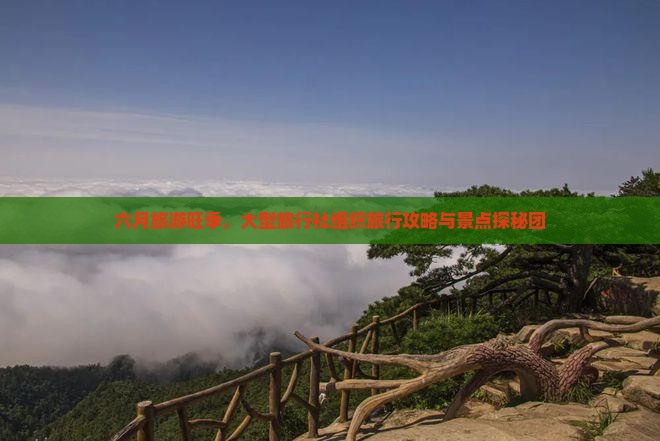 六月旅游旺季，大型旅行社组织旅行攻略与景点探秘团
