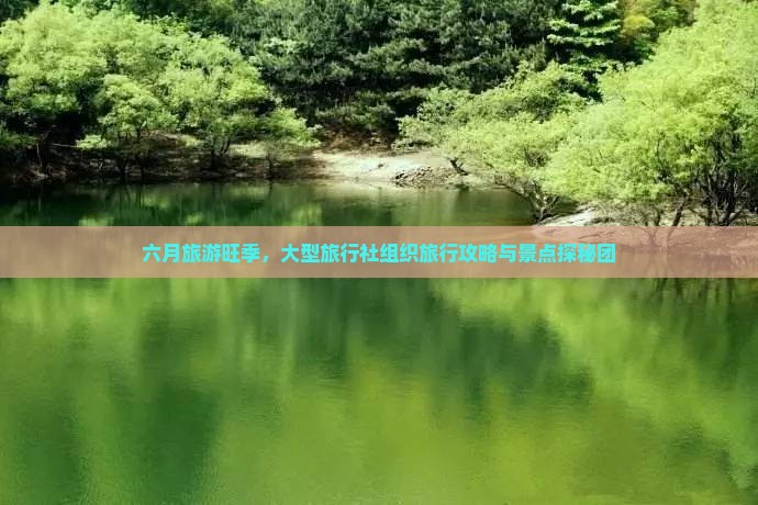 六月旅游旺季，大型旅行社组织旅行攻略与景点探秘团