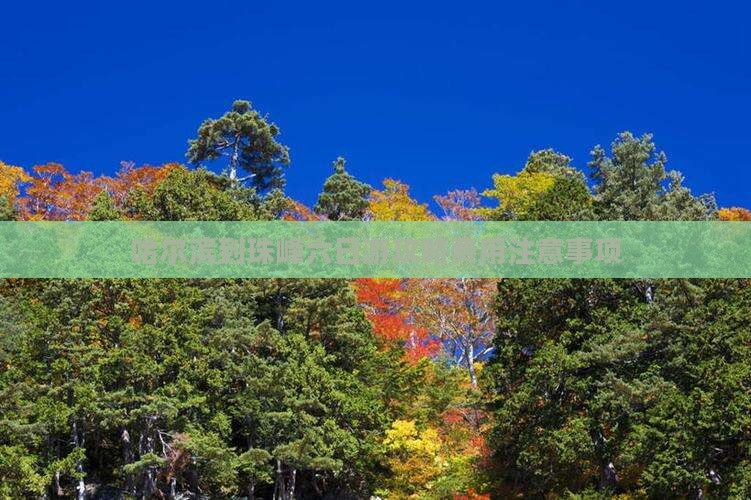 哈尔滨到珠峰六日游攻略费用注意事项