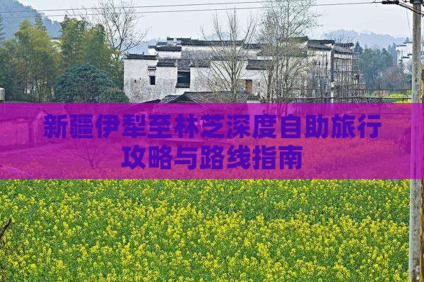 新疆伊犁至林芝深度自助旅行攻略与路线指南