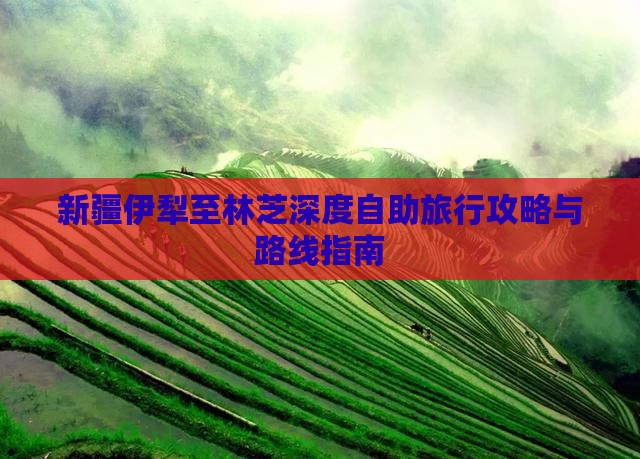 新疆伊犁至林芝深度自助旅行攻略与路线指南