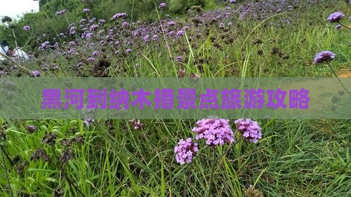 黑河到纳木措景点旅游攻略