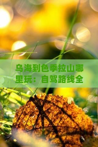 乌海到色季拉山哪里玩：自驾路线全攻略