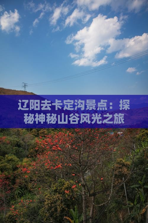 辽阳去卡定沟景点：探秘神秘山谷风光之旅