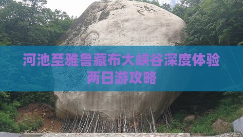 河池至雅鲁藏布大峡谷深度体验两日游攻略
