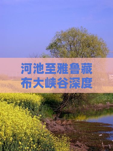 河池至雅鲁藏布大峡谷深度体验两日游攻略