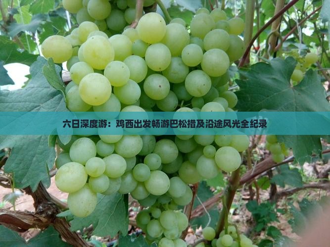 六日深度游：鸡西出发畅游巴松措及沿途风光全纪录