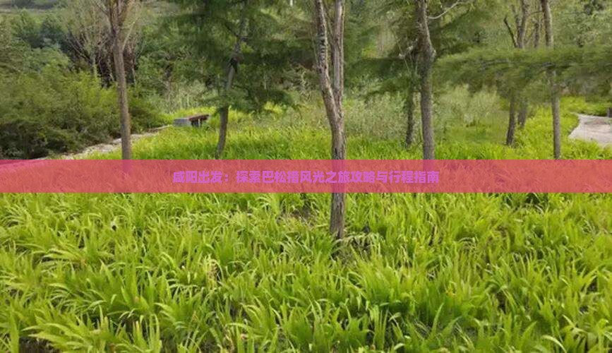 咸阳出发：探索巴松措风光之旅攻略与行程指南