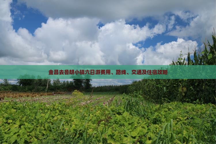 金昌去鲁朗小镇六日游费用、路线、交通及住宿攻略