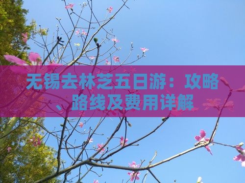 无锡去林芝五日游：攻略、路线及费用详解