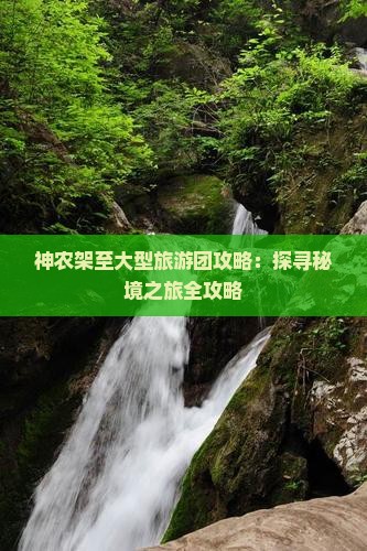 神农架至大型旅游团攻略：探寻秘境之旅全攻略