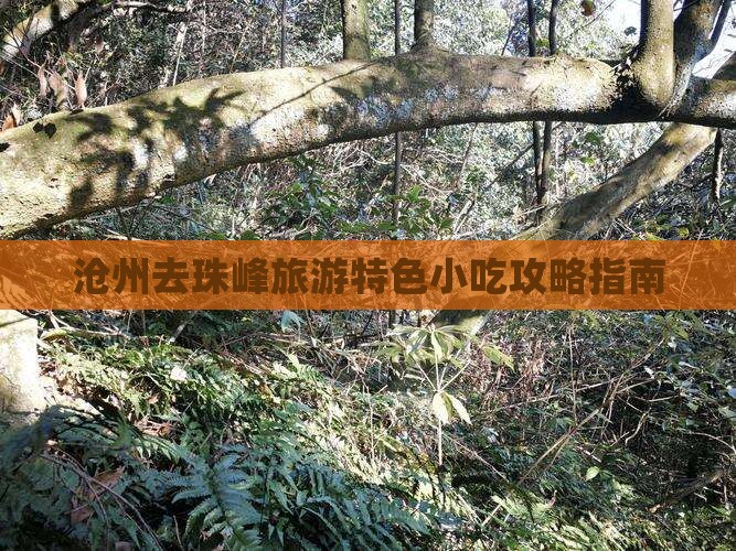 沧州去珠峰旅游特色小吃攻略指南
