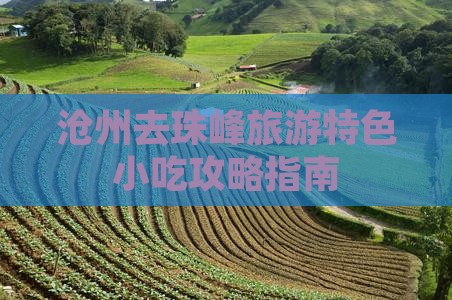 沧州去珠峰旅游特色小吃攻略指南
