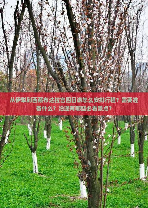 伊犁到西藏布达拉宫四日游