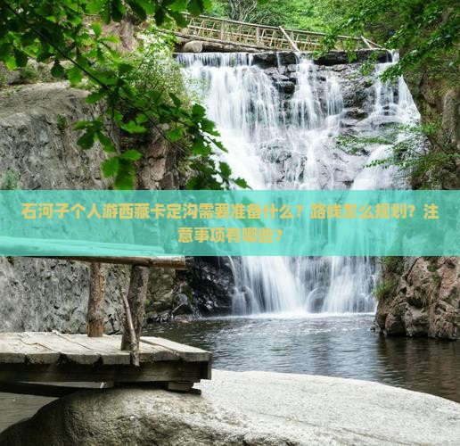 石河子去西藏卡定沟个人游