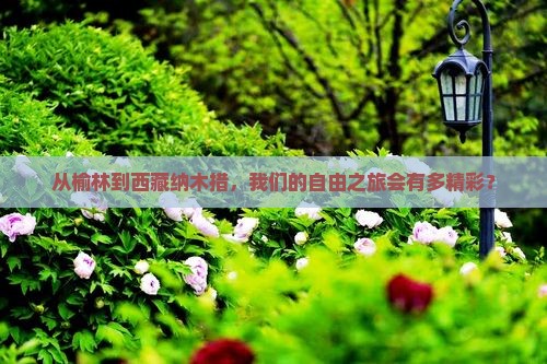 榆林去西藏纳木措自由团