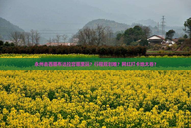 永州去西藏布达拉宫哪里玩