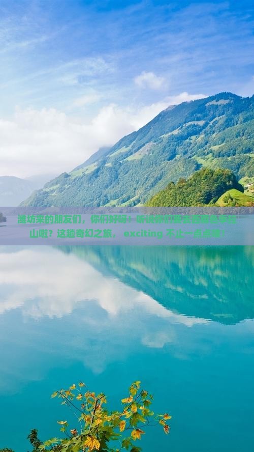 潍坊去西藏色季拉山大型旅游团