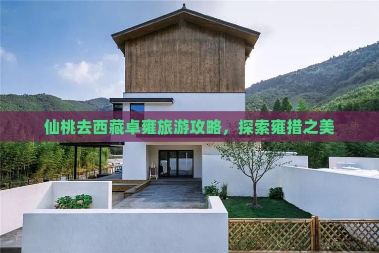 仙桃去西藏羊卓雍措景点