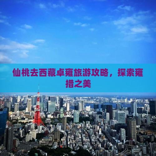 仙桃去西藏羊卓雍措景点