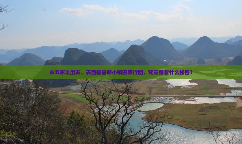 五家渠到西藏鲁朗小镇大型旅游团