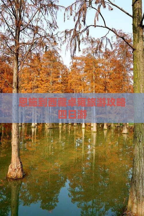 恩施到西藏羊卓雍措四日游