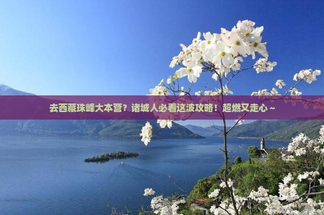 诸城去西藏珠峰大本营必去地