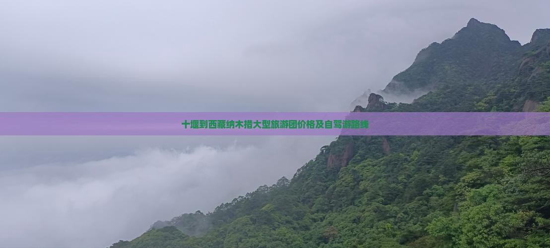 十堰到西藏纳木措大型旅游团