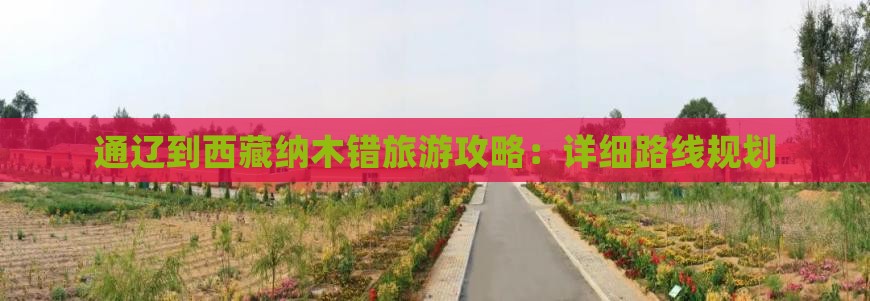 通辽市到西藏纳木措个人游