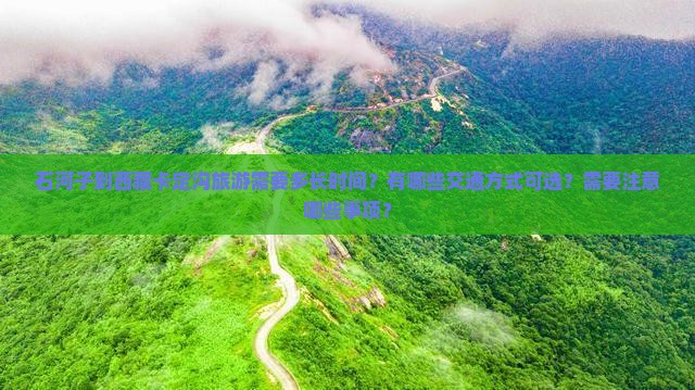 石河子到西藏卡定沟旅游