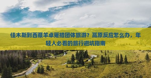 佳木斯到西藏羊卓雍措团体旅游