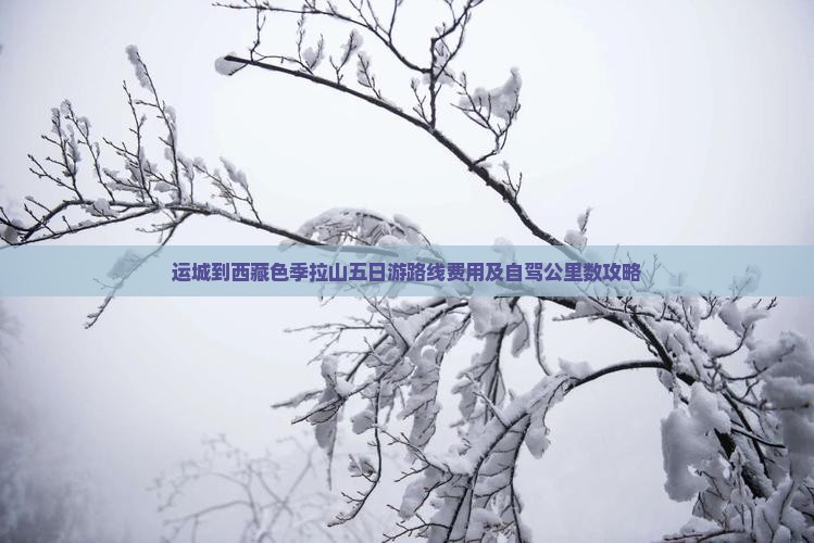 运城到西藏色季拉山五日游