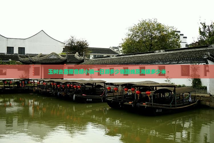 玉树去西藏鲁朗小镇一日