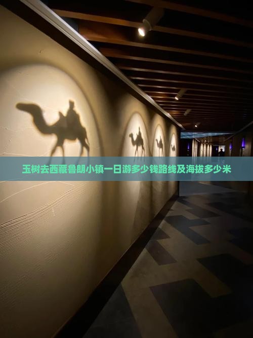 玉树去西藏鲁朗小镇一日