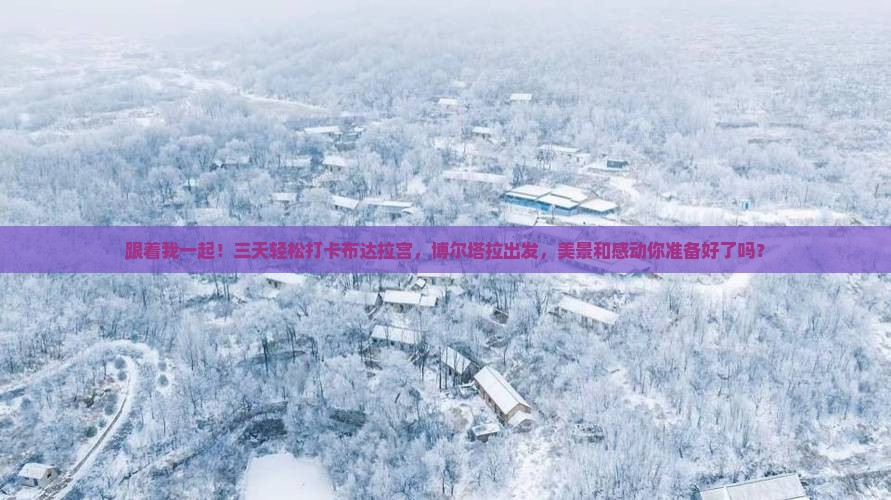 博尔塔拉到西藏布达拉宫五日游