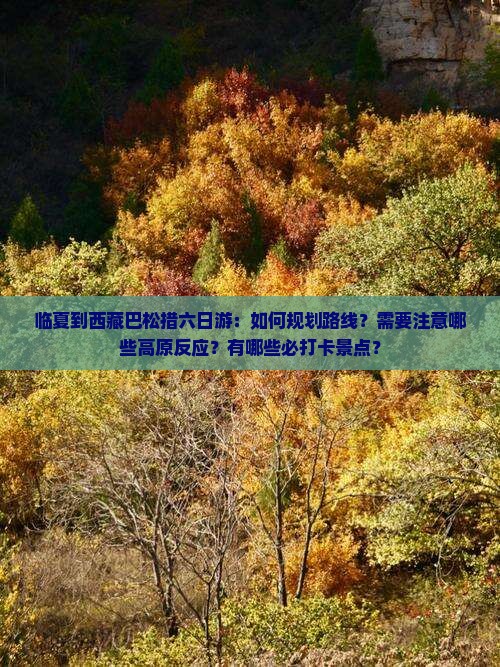 临夏到西藏巴松措六日游