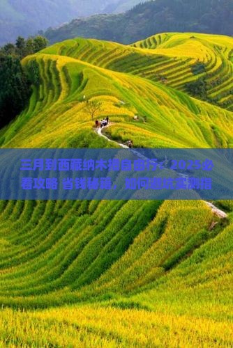 三月到西藏纳木措自由行