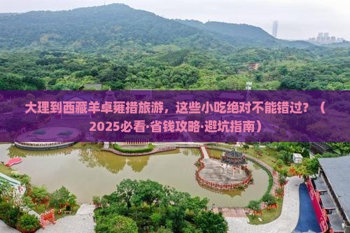 大理去西藏羊卓雍措旅游小吃