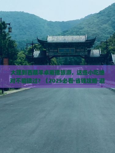 大理去西藏羊卓雍措旅游小吃