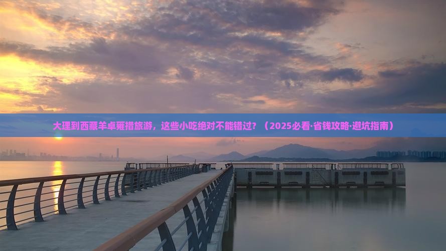 大理去西藏羊卓雍措旅游小吃