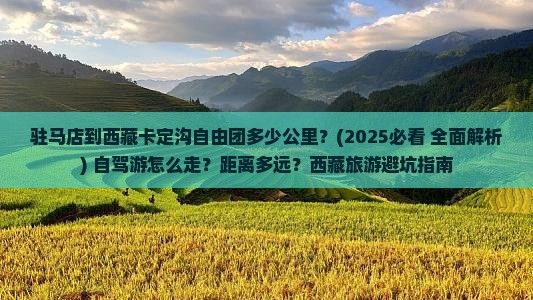 驻马店到西藏卡定沟自由团