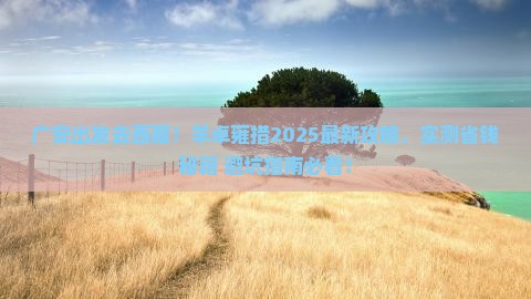 广安去西藏羊卓雍措景点