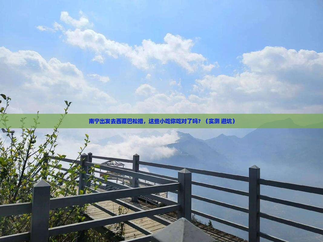南宁去西藏巴松措旅游小吃