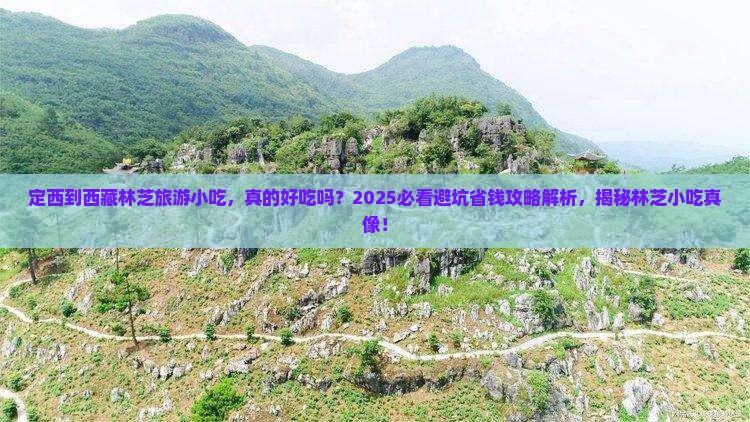 定西到西藏林芝旅游小吃