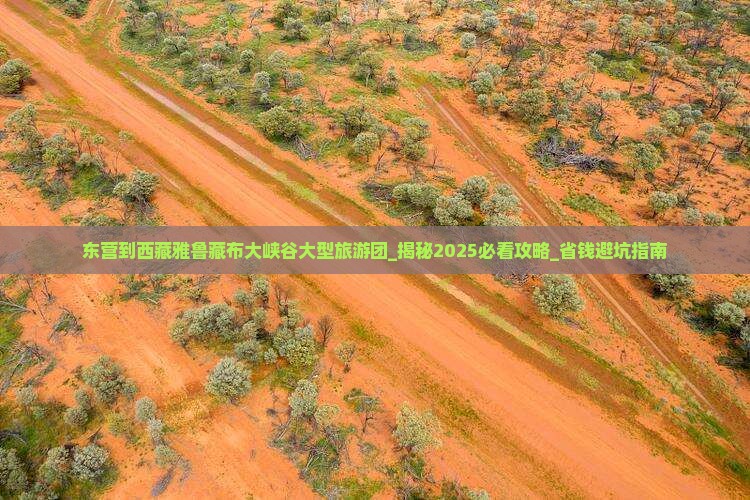 东营到西藏雅鲁藏布大峡谷大型旅游团