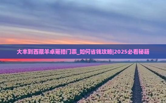 大丰到西藏羊卓雍措门票