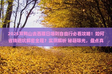 双鸭山去西藏日喀则自由行
