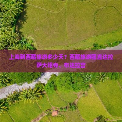 上海到西藏大昭寺大型旅游团